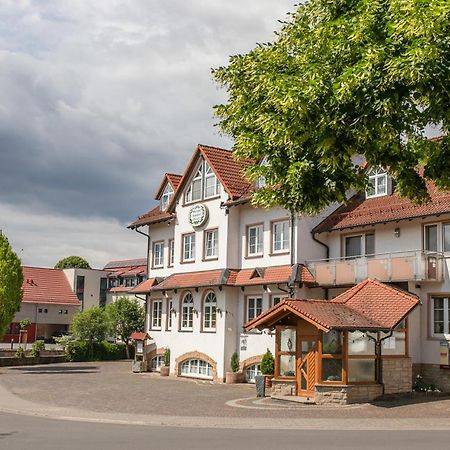 Landhaus Rhoenblick Кюнцелль Екстер'єр фото